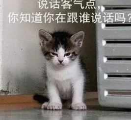 娱乐圈内幕大曝光：从明星争议到私生活崩盘的全流程回顾