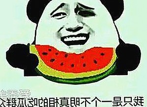 Sweetiefox二月新作：辐射避难所女孩的野性瞬间引发热议