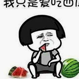 娱乐圈背后秘密：傻狗日常揭秘大揭秘