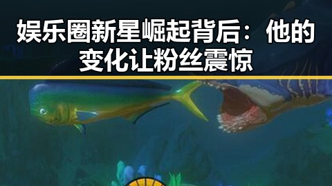 娱乐圈新星崛起背后：他的变化让粉丝震惊